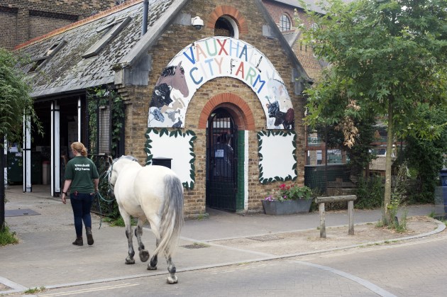 Vauxhall City Farm - TripTide