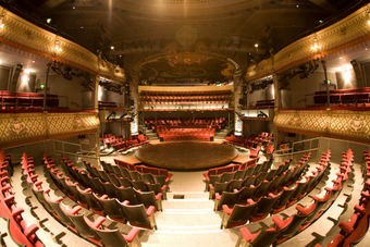 <p>The Old Vic - <a href='/triptoids/theoldvic'>Click here for more information</a></p>