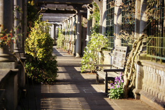 <p>Secret Gardens of London - <a href='/articles/secret-gardens'>Click here for more information</a></p>