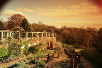 <p>Secret Gardens of London - <a href='/articles/secret-gardens'>Click here for more information</a></p>