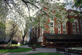 <p>Secret Gardens of London - <a href='/articles/secret-gardens'>Click here for more information</a></p>