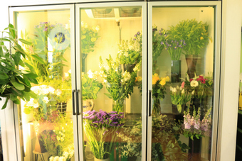 <p>A new era for romance  - <a href='/journals/flowers-and-romance'>Click here for more information</a></p>
