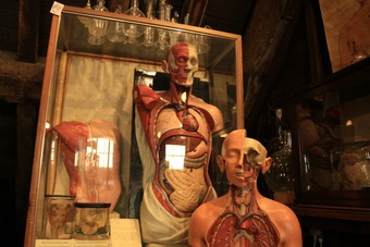 <p>The Old Operating Theatre - <a href='/triptoids/The-old-operating-theatre'>Click here for more information</a></p>