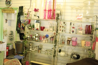<p>Patricia`s Flower Shop - <a href='/triptoids/patricias-flowershop'>Click here for more information</a></p>