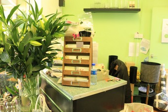 <p>Patricia`s Flower Shop - <a href='/triptoids/patricias-flowershop'>Click here for more information</a></p>
