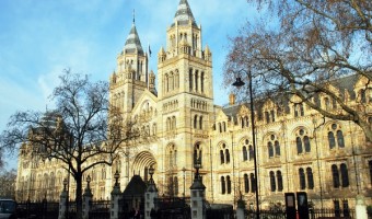 <p>The Natural History Museum - <a href='/triptoids/nhm'>Click here for more information</a></p>