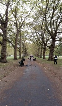 <p>Hyde Park & Green Park - <a href='/journals/hyde-park-and-green-park'>Click here for more information</a></p>