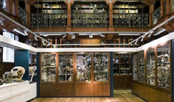 <p>Grant Museum of Zoology - <a href='/triptoids/grant-museum-zoology'>Click here for more information</a></p>