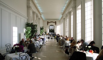 <p>The Orangery - <a href='/triptoids/the-orangery'>Click here for more information</a></p>