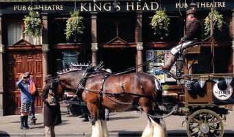 <p>The King`s Head - <a href='/triptoids/kings-head'>Click here for more information</a></p>