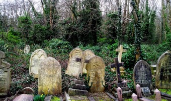 <p>The Highgate Cemetery - <a href='/triptoids/highgate-cemetery'>Click here for more information</a></p>