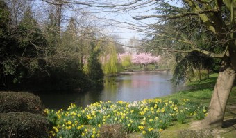 <p>Ravenscourt Park - <a href='/triptoids/ravenscourt-park'>Click here for more information</a></p>