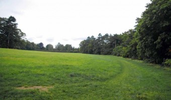 <p>High Elms Country Park - <a href='/triptoids/high-elms-country-park'>Click here for more information</a></p>