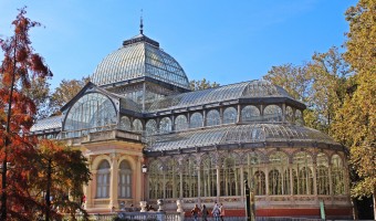 <p>Crystal Palace Park - <a href='/triptoids/crystal-palace-park'>Click here for more information</a></p>