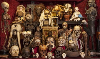 <p>The Viktor Wynd Museum of Curiosities - <a href='/triptoids/the-viktor-wynd-museum-of-curiosities'>Click here for more information</a></p>