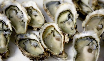 <p>Richard Haward’s Oysters - <a href='/triptoids/richard-haywards-oysters'>Click here for more information</a></p>