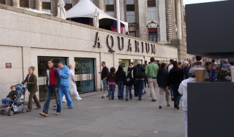 <p>SEA LIFE London aquarium - <a href='/journals/sea-life-london-aquarium'>Click here for more information</a></p>