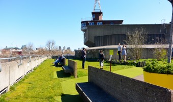 <p>Queen Elizabeth Hall Roof Garden - <a href='/triptoids/queen-elizabeth-hall-roof-garden'>Click here for more information</a></p>