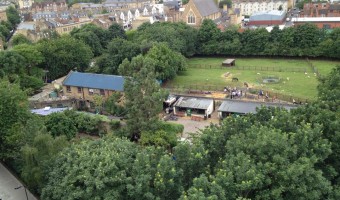 <p>Hackney City Farm - <a href='/triptoids/hackney-city-farm'>Click here for more information</a></p>