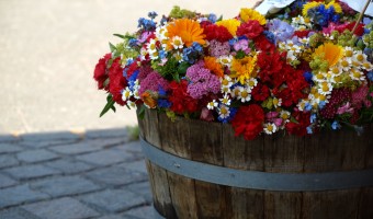 <p>Columbia Road - <a href='/journals/columbia-road'>Click here for more information</a></p>